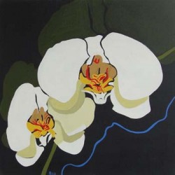 andie-scott-orchid06