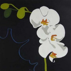 andie-scott-orchid1