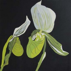 andie-scott-orchid2