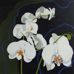 andie-scott-orchid5