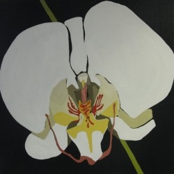 andie.scott-orchid24