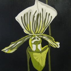 andie.scott-orchid26