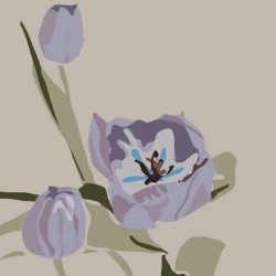 andie.scott-tulip